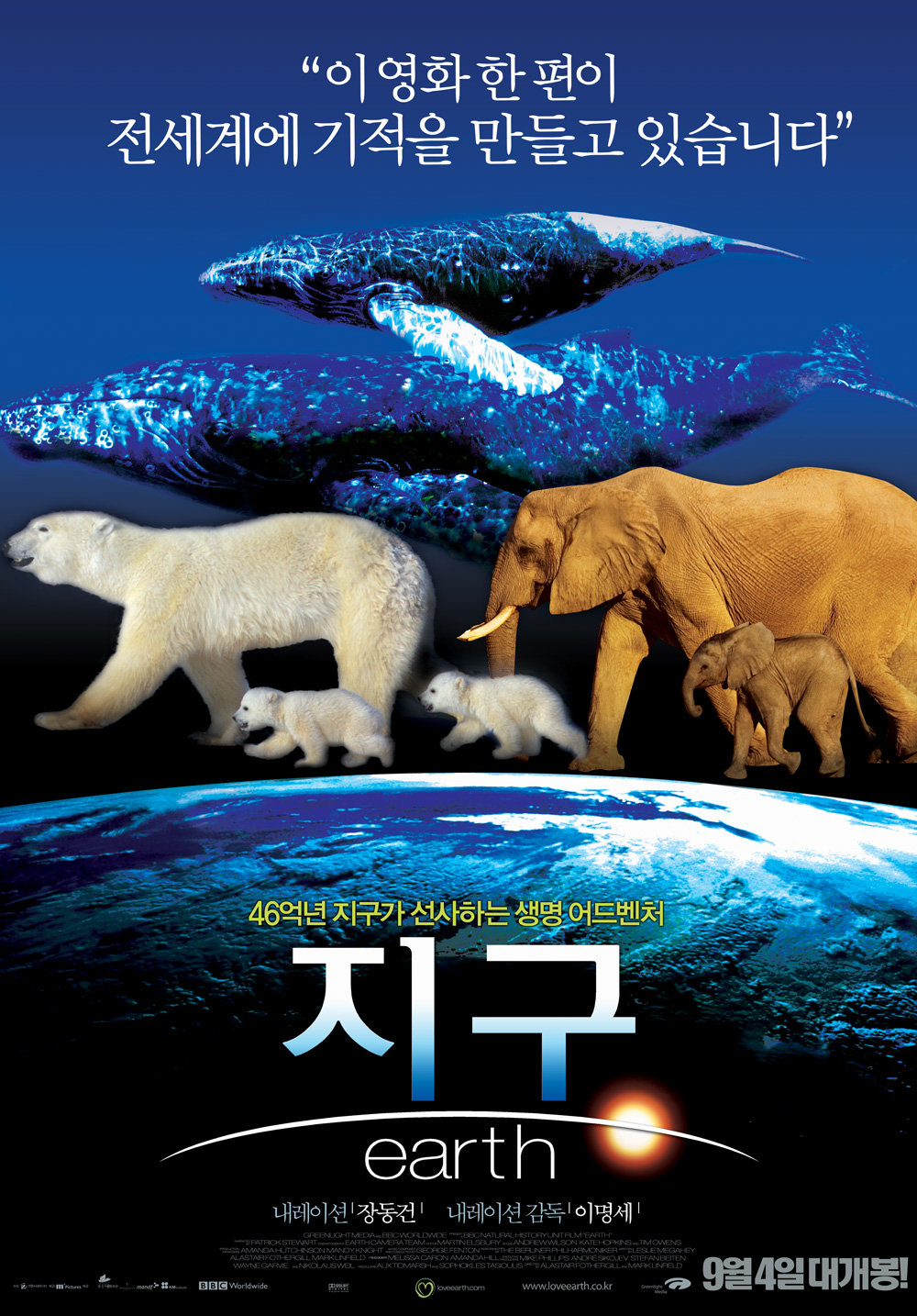 원본크기로 보기
