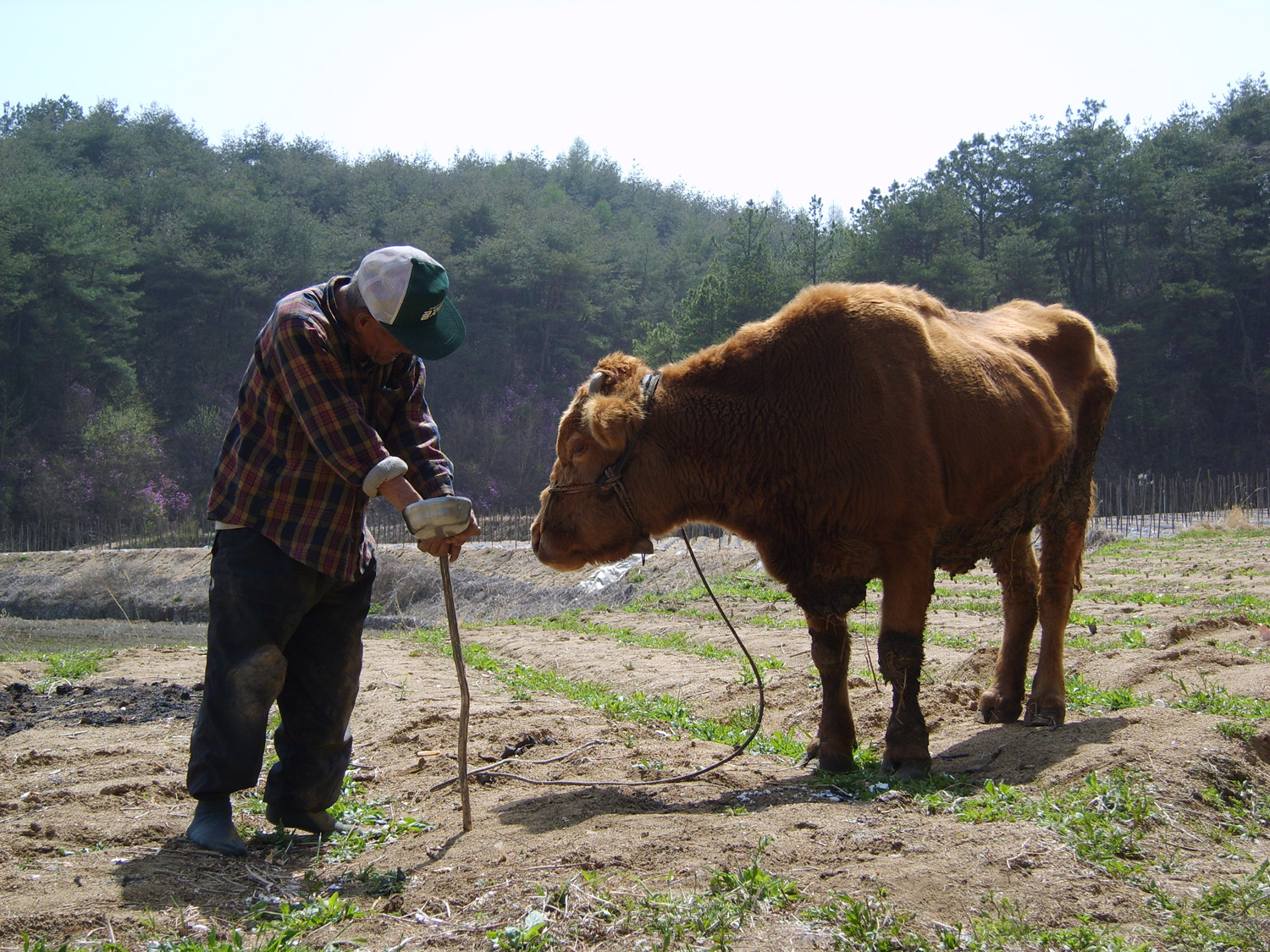 원본크기로 보기